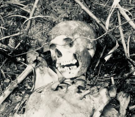 skeleton of woman found after going missing for months