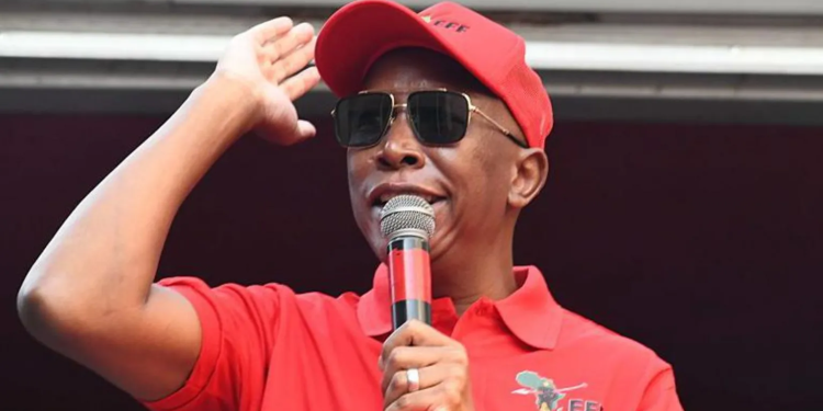 south africas firebrand malema banned from entering uk
