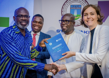 Survey suggests Opoku-Agyemang, Bawumia could face off in 2028 election