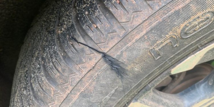 tarkwa forestry officials attacked by illegal miners in neung south reserve