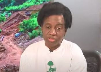 The ecological situation is dire and we need robust action – Awula Serwah