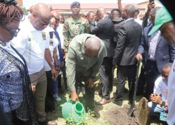 Tree for Life initiative takes off