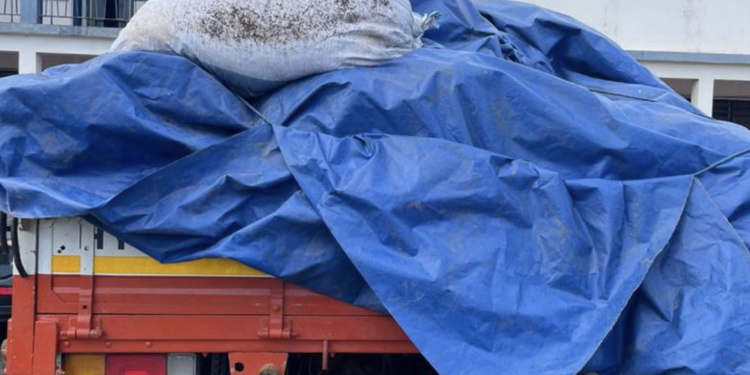 two suspected alleged cocoa smugglers arrested