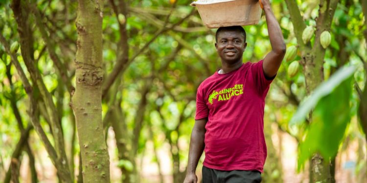 west africa leads way in regenerative agriculture rainforest alliance 2024 report highlights regional and global impact
