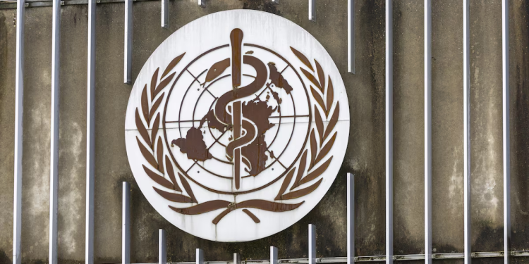 who warns of spread of cholera outbreak from sudan to chad refugee camps