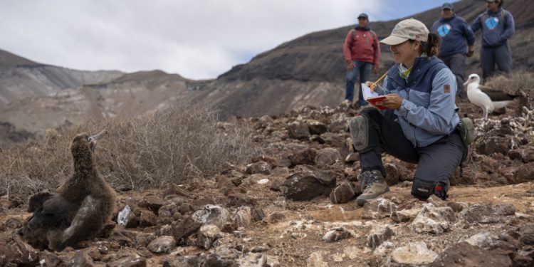 women leaders call for urgent climate action ahead of cop30