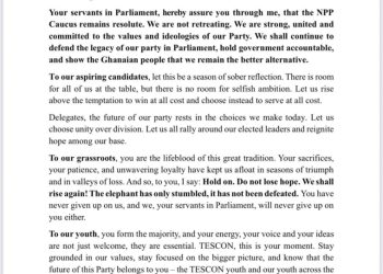 Afenyo-Markin: NPP’s 2024 loss was a perfect storm, not a governance failure