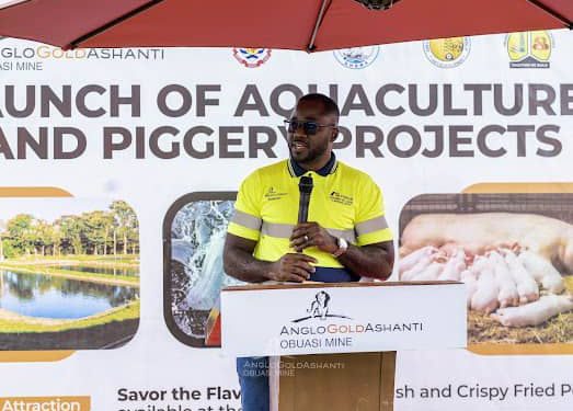 anglogold ashanti piggery and aquaculture projects inspires agricultural transformation