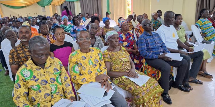 asunafo cocoa farmers rise up against illegal mining to save their farmlands