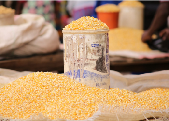 Chiefs of Sissala set new maize price to protect farmers