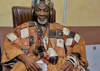 Dagbang overlord bans celebration of 2025 fire festival in Tamale