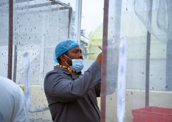 Food for All Africa Marks Decade with Circular Economy Initiative 6 Food for All Africa Marks Decade with Circular Economy Initiative