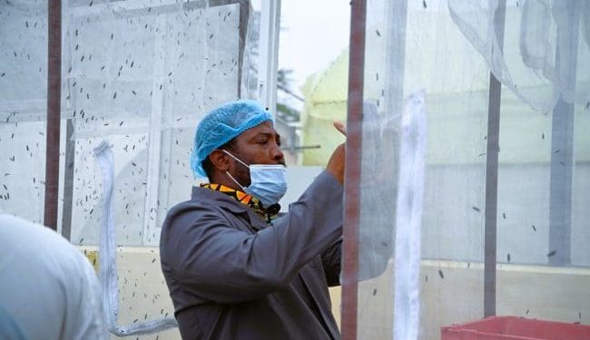 food for all africa marks decade with circular economy initiative