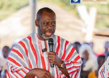 I was raised to sit at the table of power – NAPO opens up on leadership destiny