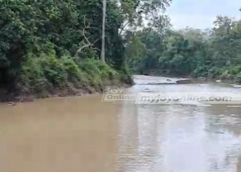 Illegal miners seize farmlands, pollute Black Volta tributary in Bole-Bamboi
