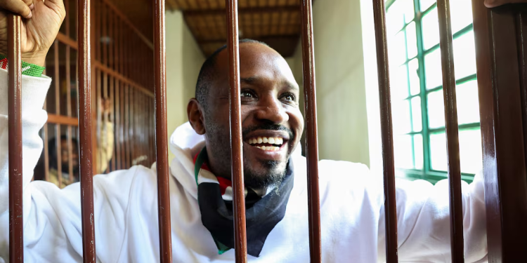 kenya rights activist freed on bail charged with unlawful possession of ammunition