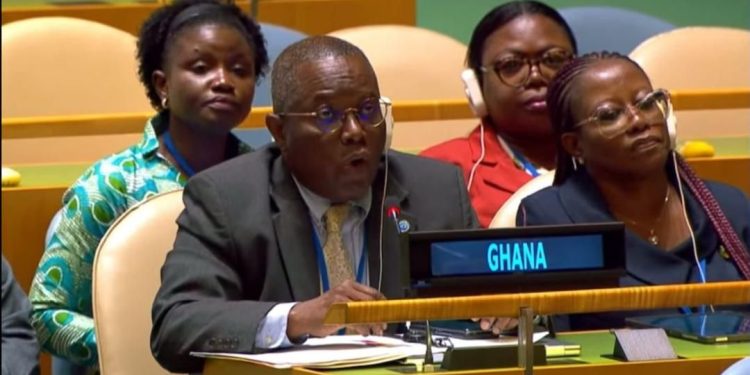 ndpc chairman calls for local economic development at un hlpf