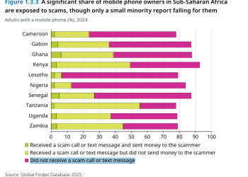 Nearly 8% Ghanaians scammed via mobile phones ended up sending money to fraudsters – World Bank