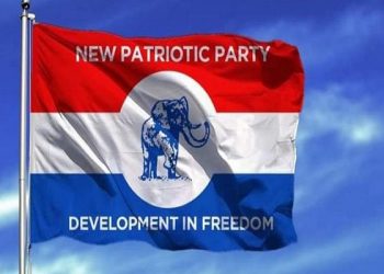 NPP bigwigs revolt over top-down flagbearer election plan