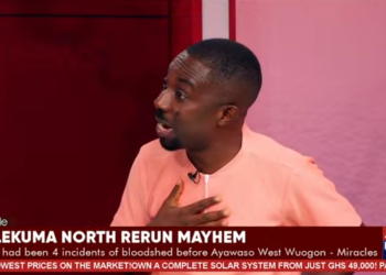 NPP must set up ‘Self-Protection Committee’ – Miracles Aboagye