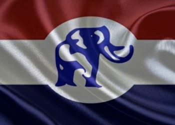 NPP opens media accreditation for July 19 National Delegates Congress