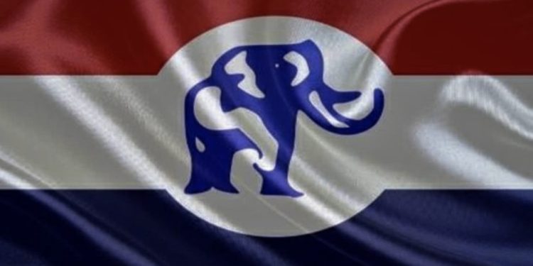 npp opens media accreditation for july 19 national delegates congress