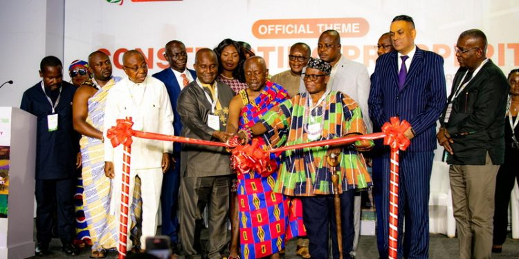 public sector should not lead feasibility studies for ppp projects ab david africa