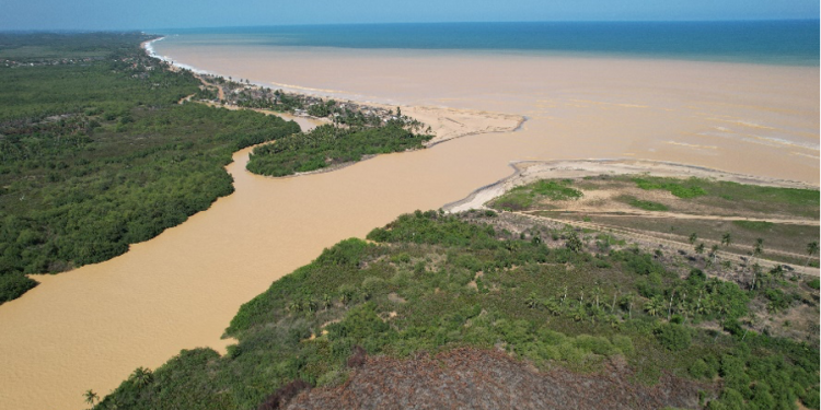 robbing the future gold lust killing ghanas fish marine life and destroying mangroves