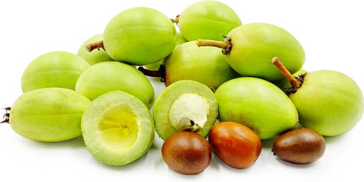 tcda sets new minimum producer price for shea nuts to strengthen sector sustainability export compliance