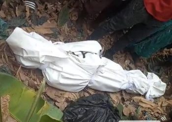 Tragedy in Mempeasem: Missing woman found dead in plantain grove