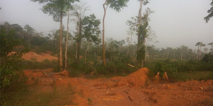 un climate change calls for urgent action to scale up climate finance at african ministerial dialogue