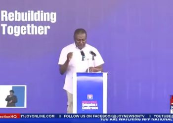 We’ll not allow 2024 defeat to destroy NPP – Afenyo-Markin