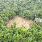 Ghana’s Forests in Peril: Growth at the cost of green?