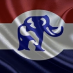 NPP expands voting pool for presidential primaries – Full list here