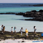 South Korea tells tourists on holiday island Jeju to behave