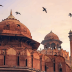 Delhi’s toxic air is turning iconic Red Fort black – study