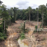 Galamsey: PNP chairperson rebukes Mahama over failure to declare state of emergency