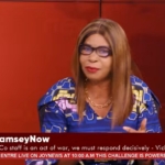Galamsey: We’ve exhausted all options, it’s time for a State of emergency – Victoria Bright