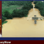 Research links 500 spontaneous abortions to galamsey-related placental contamination – Prof Sampene