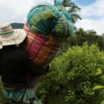 US designates Colombia as country ‘failing to cooperate in drug war’