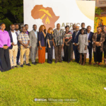 Australia spotlights Ghana’s first lithium mine as game‑changer at AEMF launch 1 australia spotlights ghanas first lithium mine as gamee28091changer at aemf launch