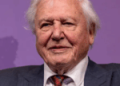 David Attenborough becomes oldest Daytime Emmy winner
