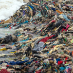 Fast fashion and the downstream economy: A standards agenda for quality, accountability and livelihoods 1 fast fashion and the downstream economy a standards agenda for quality accountability and livelihoods