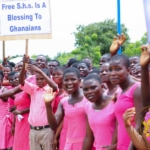 Free SHS policy undermined by placement challenges — Afenyo-Markin