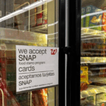 Half of US states sue Trump administration over halting food stamps