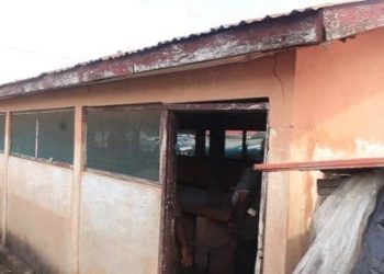 Mafi Adidome Assembly Member Urges Swift Action To Repair Deteriorating Abattoir, Roads 8 Mafi Adidome Assembly Member Urges Swift Action To Repair Deteriorating Abattoir, Roads