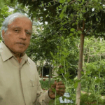 MS Swaminathan: The scientist who saved India from hunger