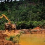 Armed miners hold five forest reserves hostage, Ghana Institute of Foresters reveals