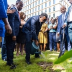 BOG Governor leads tree-planting exercise to mark Cedi@60