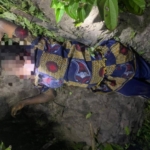 Dormaa West: 7-month pregnant woman found dead on farm with throat slit 3 Dormaa West: 7-month pregnant woman found dead on farm with throat slit